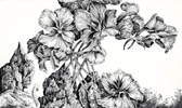 Dietrich Schuchardt Nasturtiums (From My Garden) etching printed in black